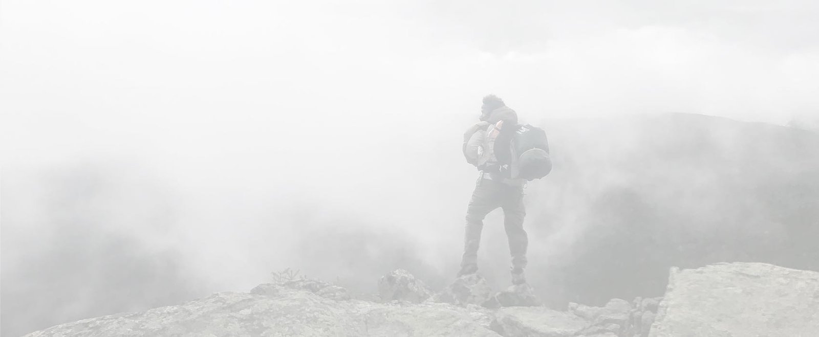 balazs-busznyak-3mtcyvbAqzM-unsplash Berger allemand