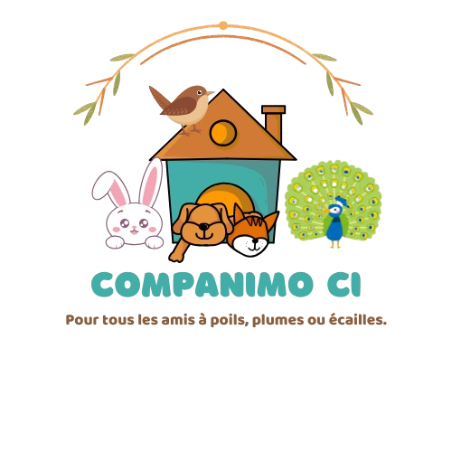 Animo CI