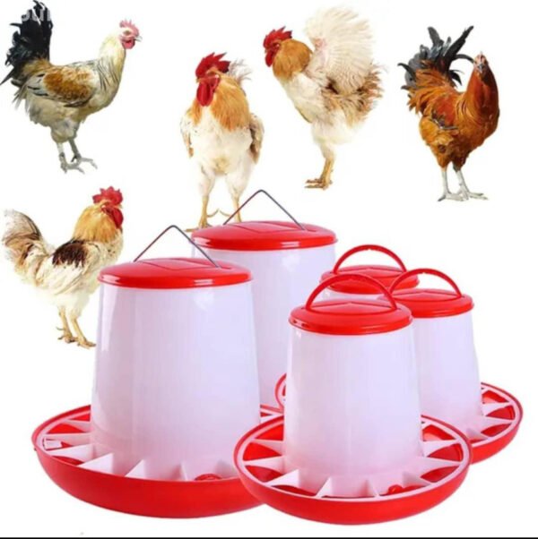 Abreuvoir Poulet 6L