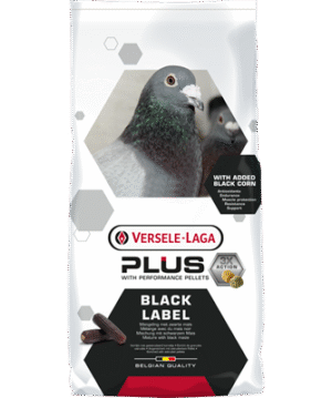 Black Label Mutine Mue Pigeon