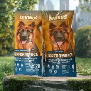Nourriture pour chien Divinus Performance